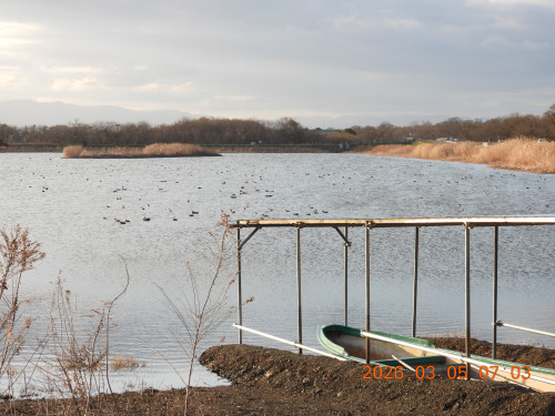 DSCN2590.JPG