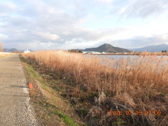 DSCN2591.JPG