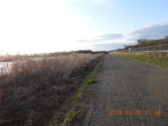 DSCN2593.JPG