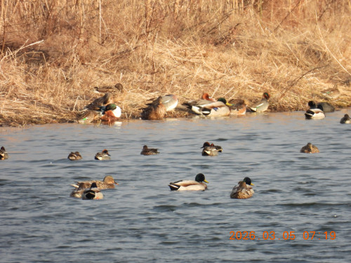 DSCN2600.JPG