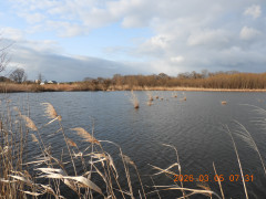 DSCN2603.JPG