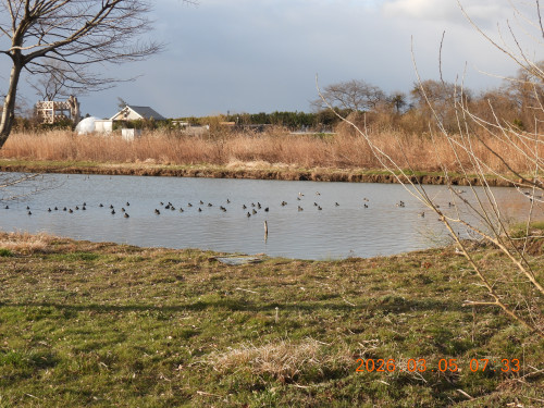 DSCN2605.JPG
