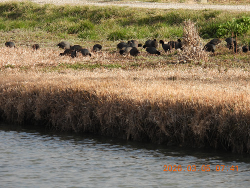 DSCN2617.JPG