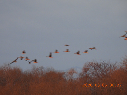 DSCN2526.JPG