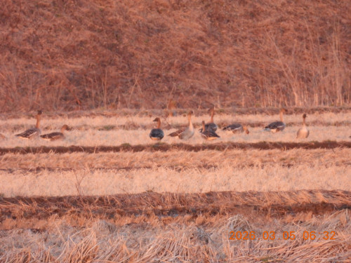 DSCN2527.JPG