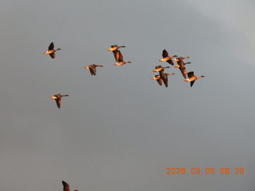 DSCN2530.JPG