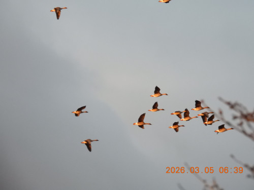 DSCN2537.JPG
