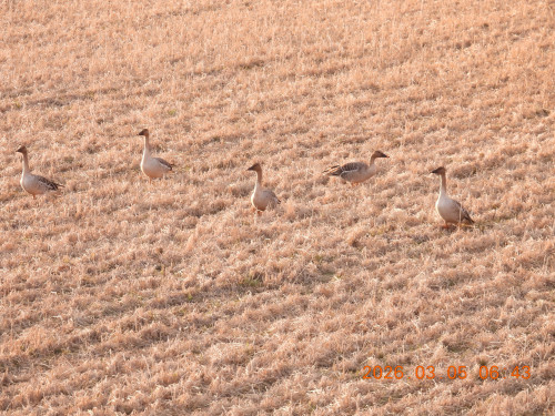 DSCN2564.JPG