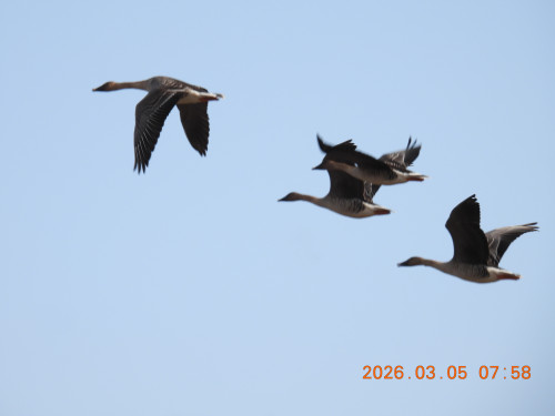 DSCN2650.JPG
