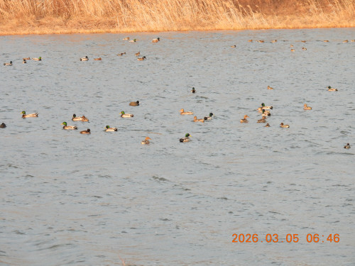 DSCN2566.JPG