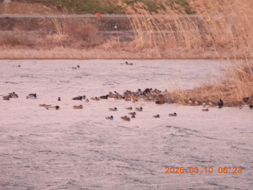 DSCN2670.JPG