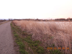 DSCN2671.JPG