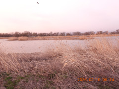 DSCN2672.JPG