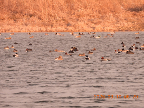 DSCN2677.JPG