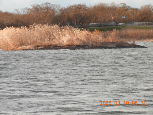 DSCN2681.JPG