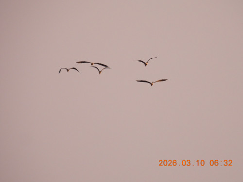 DSCN2684.JPG