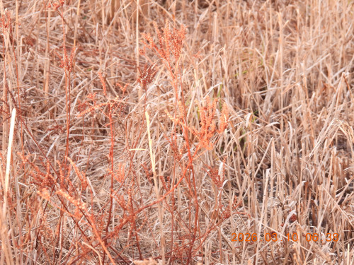 DSCN2688.JPG