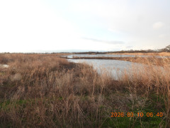 DSCN2690.JPG