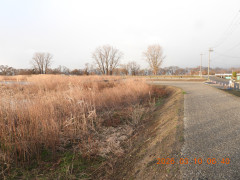 DSCN2691.JPG