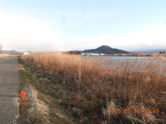 DSCN2697.JPG