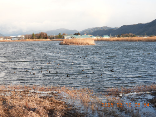 DSCN2705.JPG