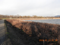 DSCN2714.JPG
