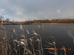 DSCN2723.JPG
