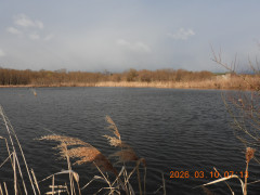 DSCN2724.JPG