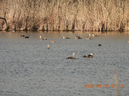 DSCN2718.JPG