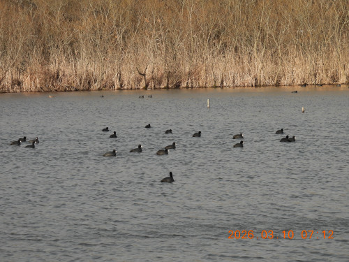 DSCN2719.JPG