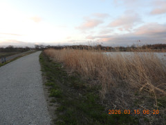 DSCN2738.JPG