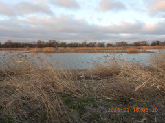 DSCN2739.JPG