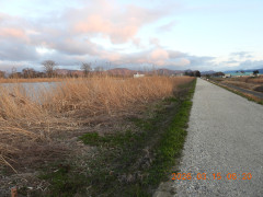 DSCN2740.JPG