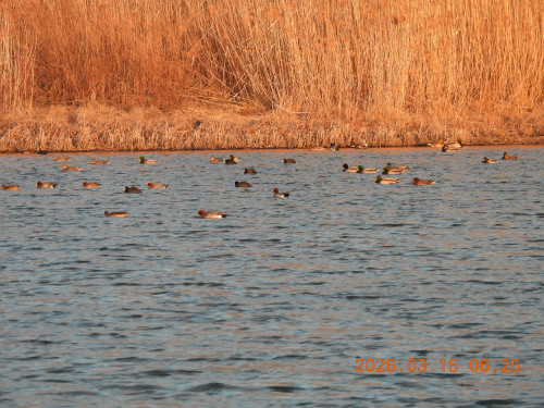 DSCN2747.JPG