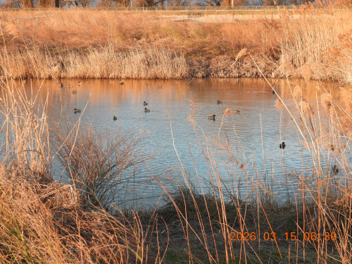 DSCN2752.JPG