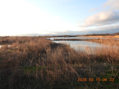 DSCN2759.JPG