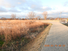 DSCN2760.JPG