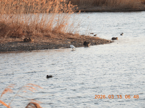 DSCN2774.JPG