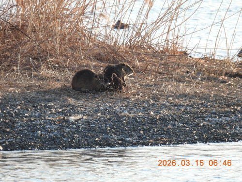 DSCN2767.JPG