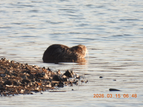 DSCN2770.JPG
