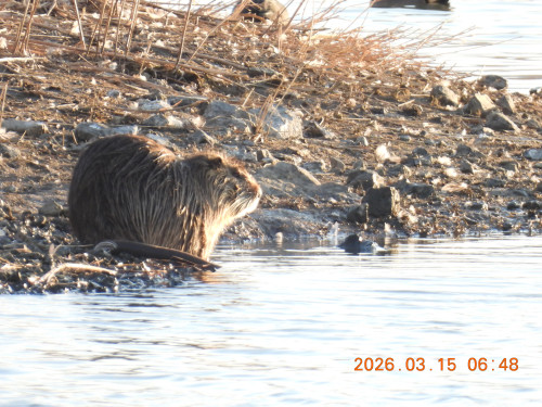 DSCN2771.JPG