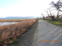 DSCN2781.JPG