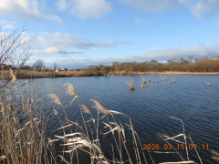 DSCN2785.JPG