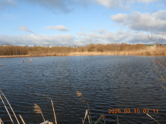 DSCN2786.JPG