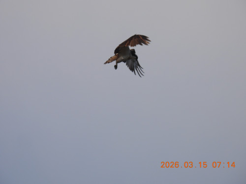 DSCN2793.JPG