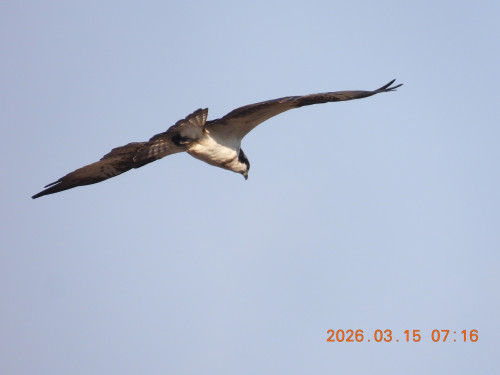 DSCN2811.JPG