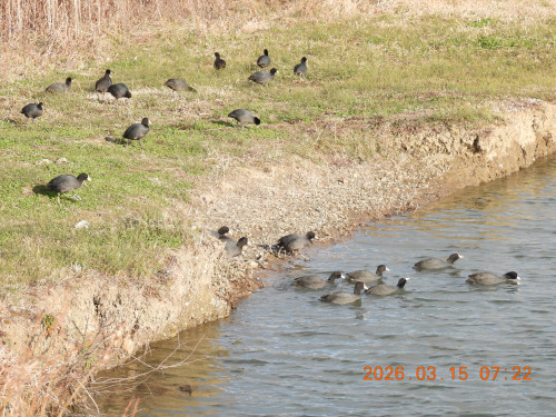 DSCN2876.JPG