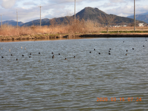 DSCN2881.JPG