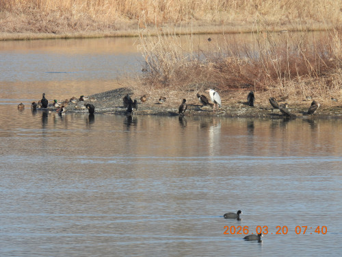 DSCN2975.JPG