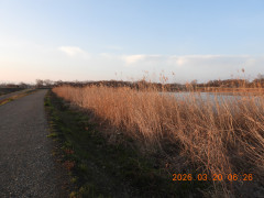 DSCN2918.JPG